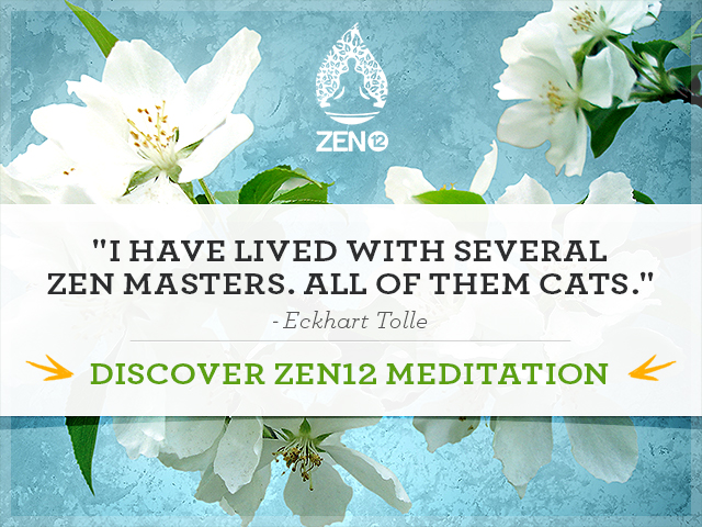 zen12, 1 hour of advanced meditation in just 12 minutes using brainwave entrainment