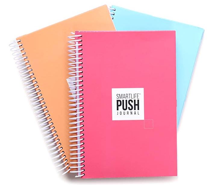 Push Journal by Chalene Johnson, goal planner review